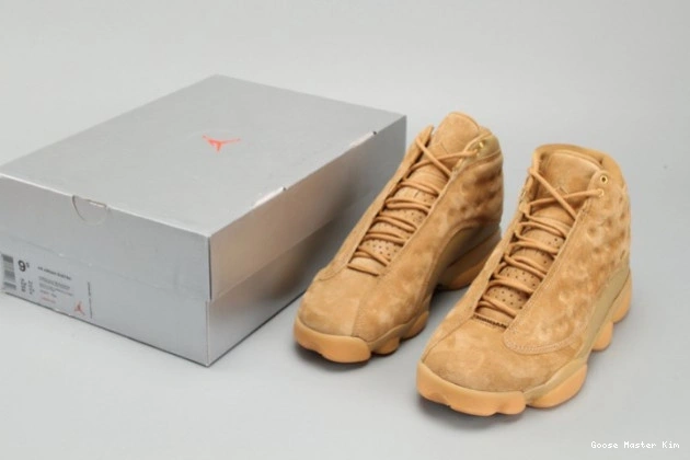 JORDAN 414571-705 brown 